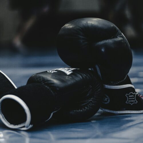 Vexto Sports™ Pro Genuine Leather Sparring Boxing Gloves