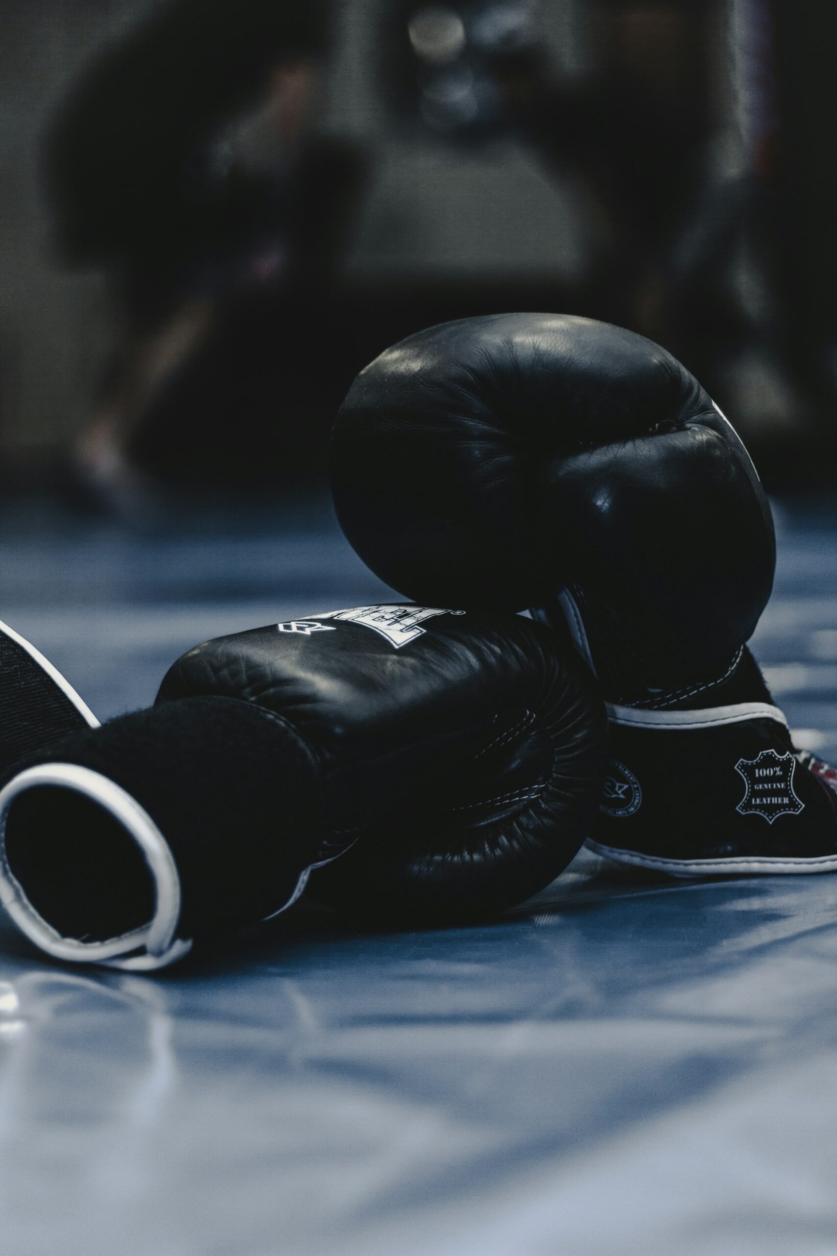 Vexto Sports™ Pro Genuine Leather Sparring Boxing Gloves